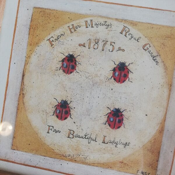 Four beautiful ladybugs - Shelley Hely