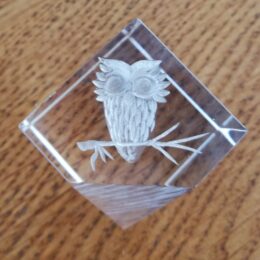 Glazen vierkantje met 3D uiltje