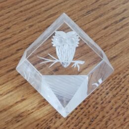 Glazen vierkantje met 3D uiltje